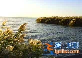 國慶去額濟(jì)納人多嗎,2018十一額濟(jì)納住宿貴嗎? 國慶去額濟(jì)納人多嗎,2018十一額濟(jì)納住宿貴嗎?