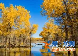 國慶去額濟(jì)納人多嗎,2018十一額濟(jì)納住宿貴嗎? 國慶去額濟(jì)納人多嗎,2018十一額濟(jì)納住宿貴嗎?