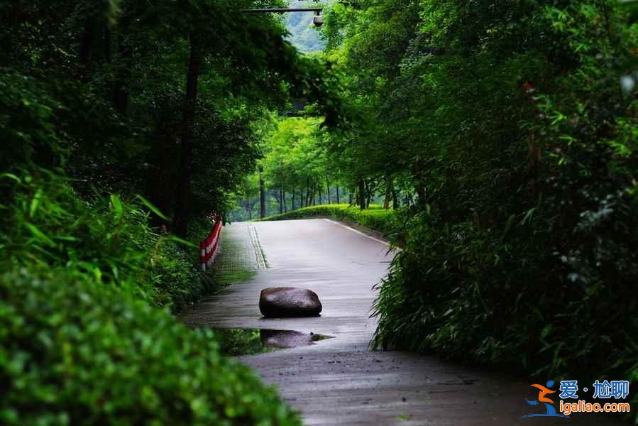 國慶去額濟(jì)納人多嗎,2018十一額濟(jì)納住宿貴嗎? 國慶去額濟(jì)納人多嗎,2018十一額濟(jì)納住宿貴嗎?