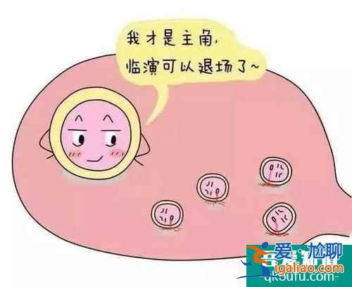 試管嬰兒取卵越多越好嗎？？