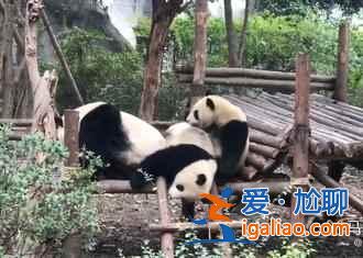 十一旅游好去處，2018十一旅游推薦，十一國慶去哪好？