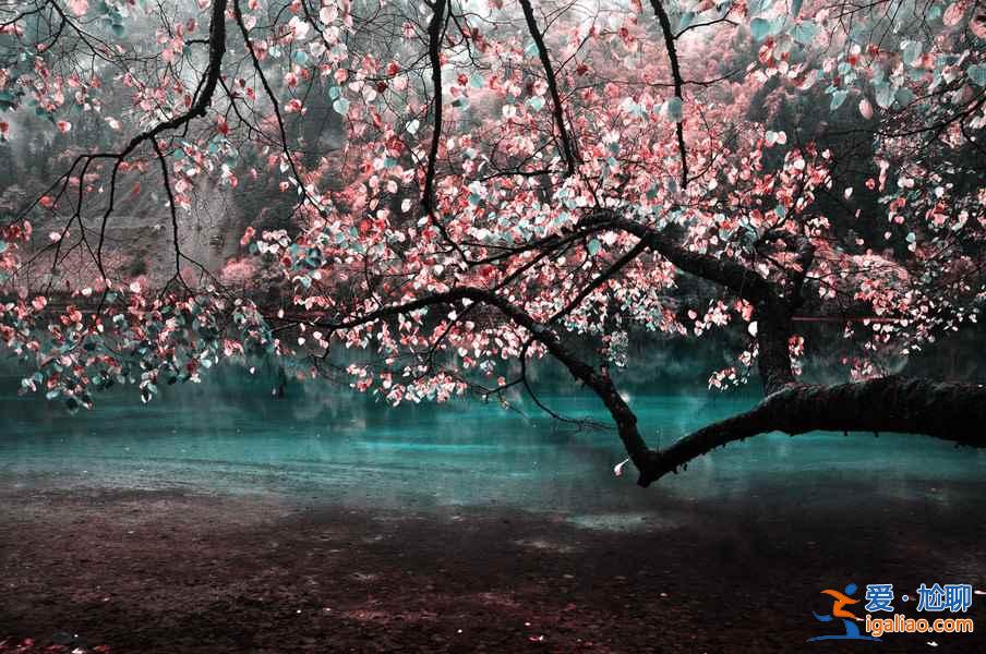 十一旅游好去處，2018十一旅游推薦，十一國慶去哪好？