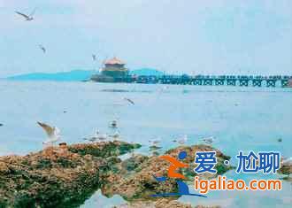 2018青島清明節(jié)去哪玩，2018清明節(jié)去青島哪里玩？