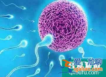 為什么高齡女性要選擇做試管？高齡試管會有哪些風(fēng)險呢？？