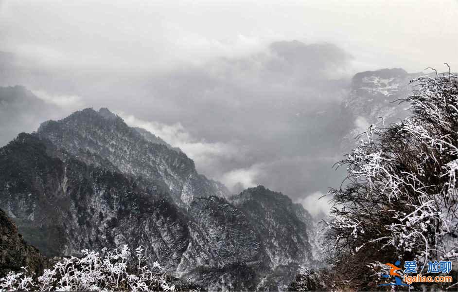 元旦去峨眉山怎么玩,峨眉山元旦日出幾點(diǎn)? 元旦去峨眉山怎么玩,峨眉山元旦日出幾點(diǎn)?