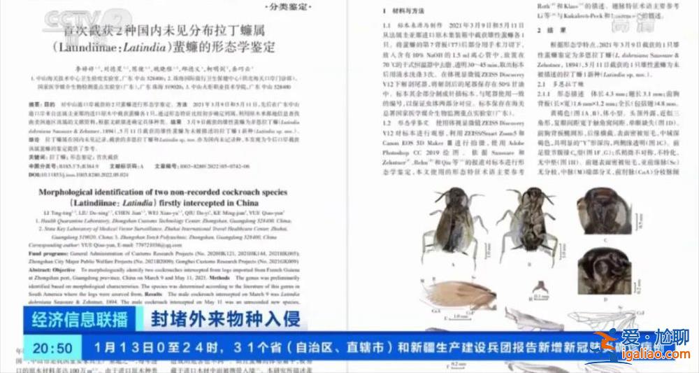 我國首次截獲全球新物種 或攜帶未知病原體傳播疾病？