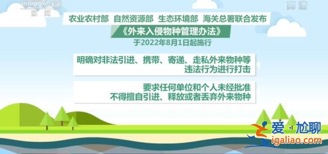 我國首次截獲全球新物種 或攜帶未知病原體傳播疾病？