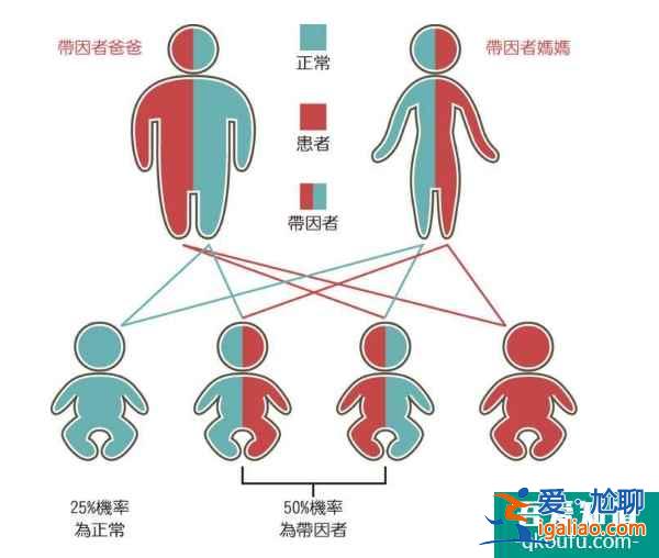 泰國試管嬰兒的適用人群有哪些？？