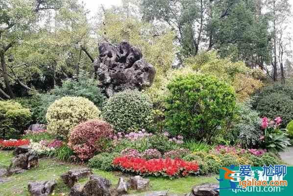 2022上海植物園門票什么時候免費 一日游攻略？