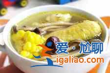 茶樹菇燉雞湯的做法？