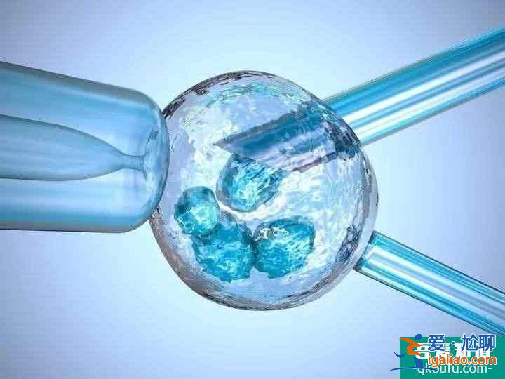 身體有卵巢囊腫在是否會讓試管嬰兒不成功？？