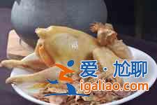 墨魚燉雞？