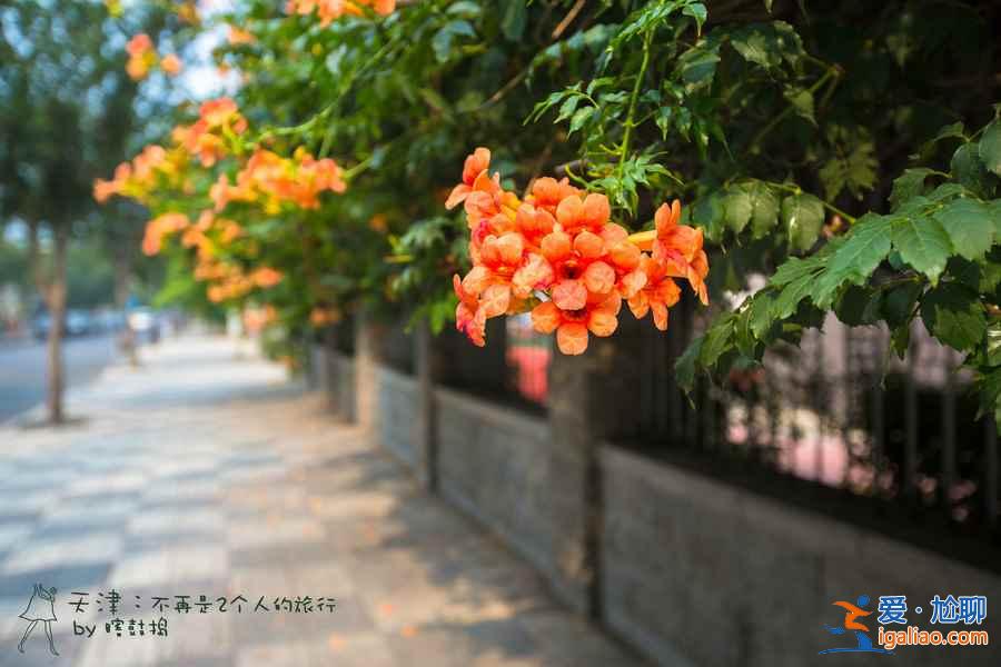 2018天津清明節(jié)去哪里玩，2018清明三天去天津有什么好玩的？