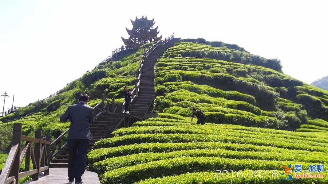 神奇的北緯30°，貫穿了中國著名的9大名茶？