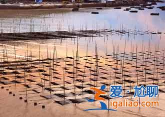 【清明節(jié)去霞浦攝影】2018清明節(jié)去霞浦好玩嗎，霞浦清明節(jié)攝影指南？