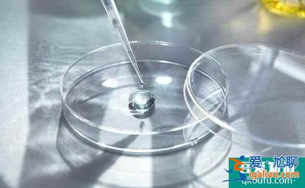 美國試管嬰兒費用為什么貴？這幾點原因你不得不承認？