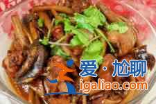 茶樹菇燉雞的做法大全？