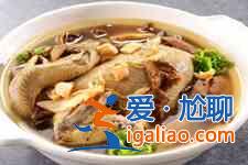 茶樹菇燉雞的做法大全？