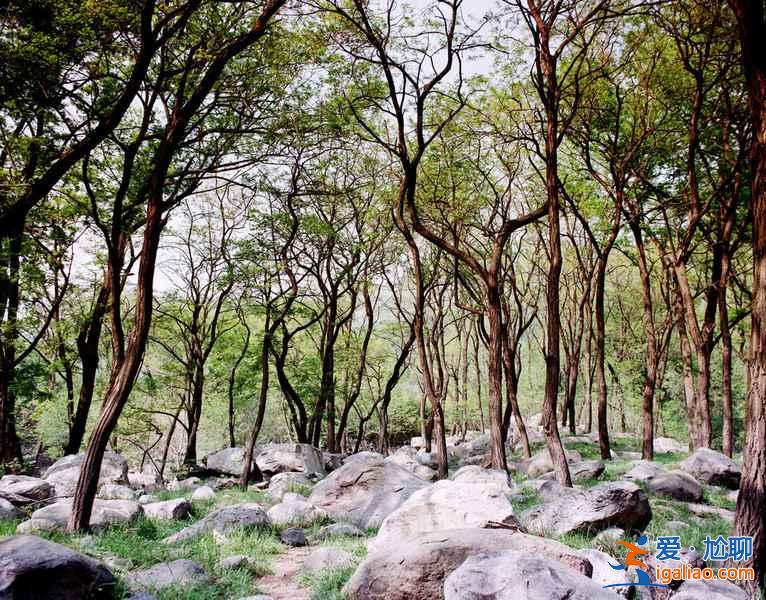 清明節(jié)去泰山穿什么，清明節(jié)去泰山人多嗎？