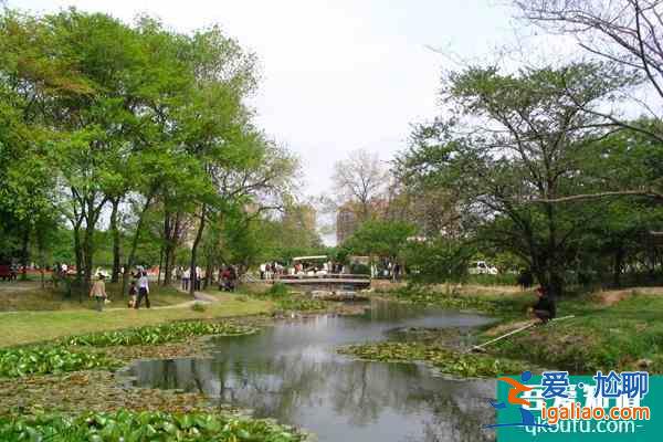 上海植物園什么時(shí)候開始免門票?又怎么預(yù)約?這份注意事項(xiàng)請(qǐng)收好？