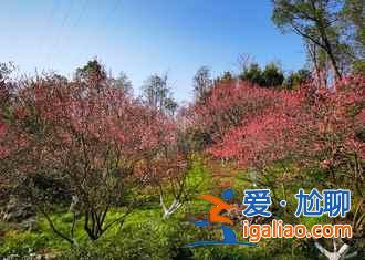 【桃花源】桃花源在哪兒,桃花源記? 【桃花源】桃花源在哪兒,桃花源記?