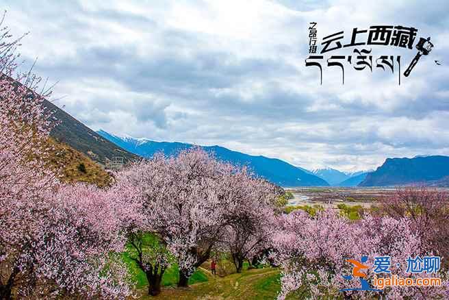 【2017林芝桃花節(jié)】2017林芝桃花節(jié)時間、花期、地點、門票，林芝桃花節(jié)？