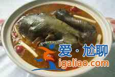 烏雞湯的做法大全？