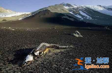 中國最恐怖的十大旅行禁區(qū)？