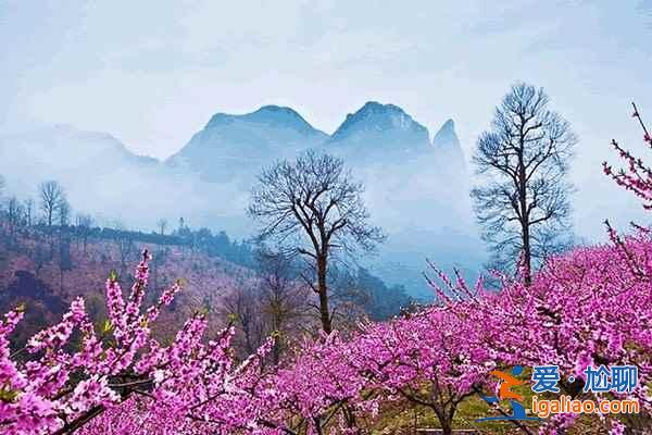 中國最美十大桃花“劫”，人見人愛??？