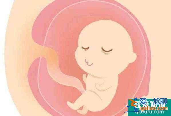 試管嬰兒怎樣生男孩？能不能選胎兒性別？