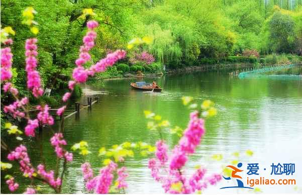 中國最美十大桃花“劫”，人見人愛??？