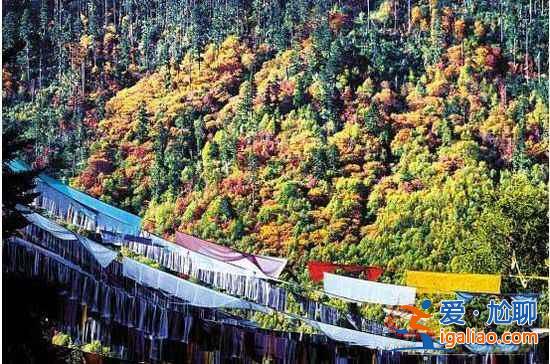 9月旅游：中國(guó)最驚艷的9個(gè)好地方？