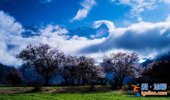 4月，就去林芝看桃花吧！美翻了??？