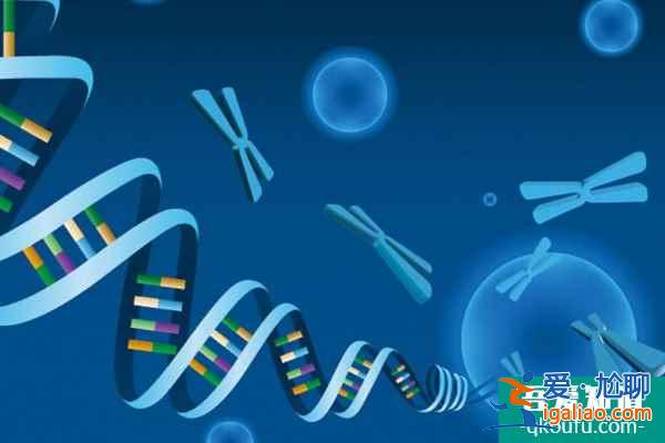 試管嬰兒囊胚解凍復(fù)蘇率為93%以上，為何如此高？？
