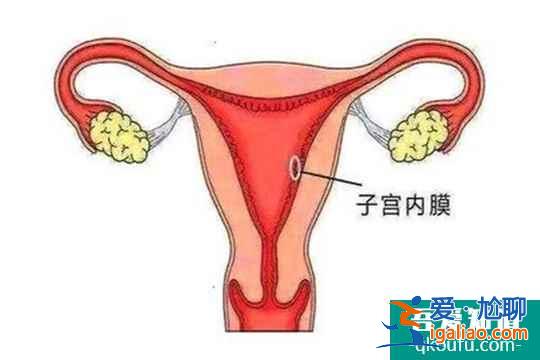 試管嬰兒促排卵內(nèi)膜薄怎么辦？？