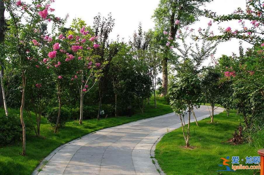 中國(guó)十大最熱的城市排名，中國(guó)最熱的地方？