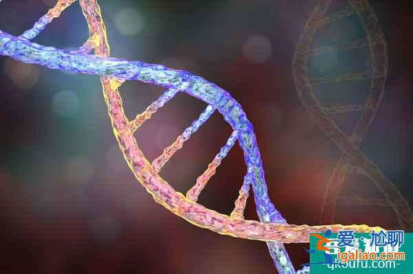 試管專家：針對六類人群助孕的個性化方案？