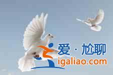 清蒸鴿子的做法？