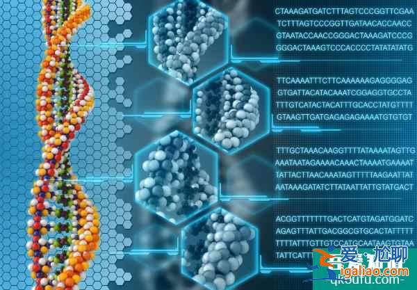 試管嬰兒CLIA、CAP雙認證的實驗室，重要性表現(xiàn)在哪？？
