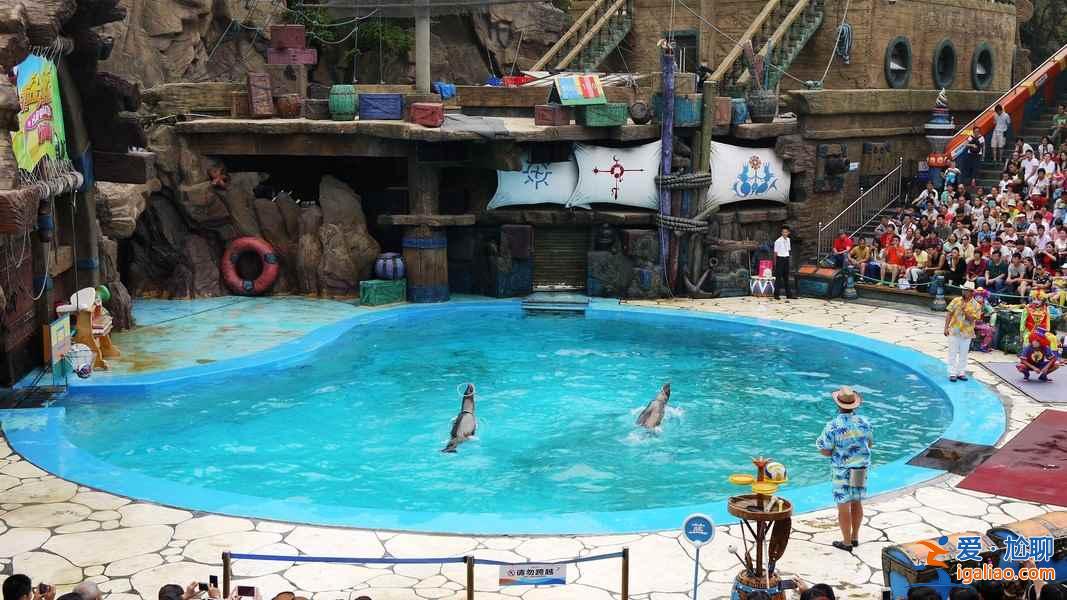 國內(nèi)九大游樂園，春節(jié)嗨起來！？