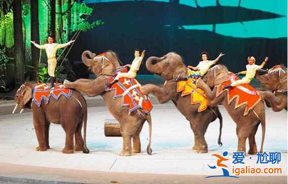 國內(nèi)九大游樂園，春節(jié)嗨起來??？
