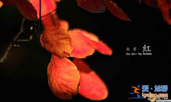 中國最美的秋景地，是時候準備出發(fā)了！？