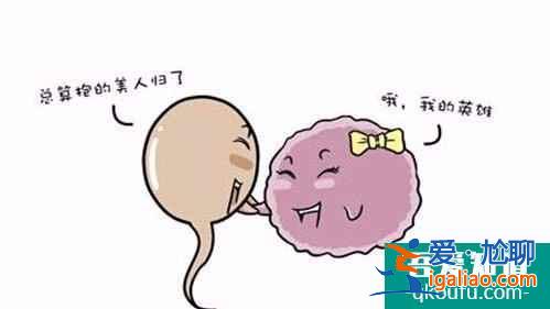 什么人適合做試管嬰兒？？