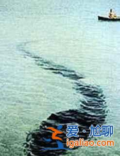 傳說(shuō)中的世界七大水怪出沒(méi)地？