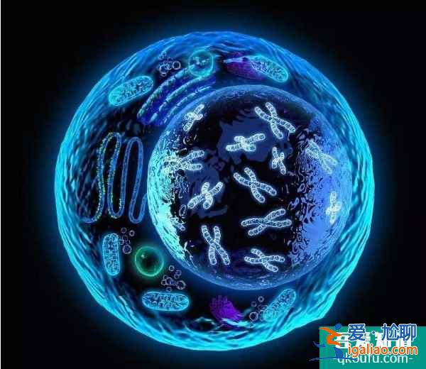 試管嬰兒專家：需要赴美幾次，根據(jù)具體方案而定？