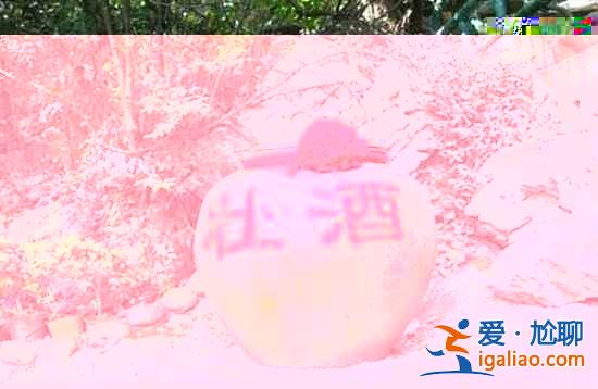 少數(shù)民族奇異食物，你敢吃嗎？？