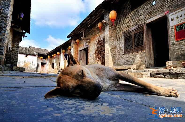 國內(nèi)哪些古鎮(zhèn)比較安靜，商業(yè)化程度比較低？？