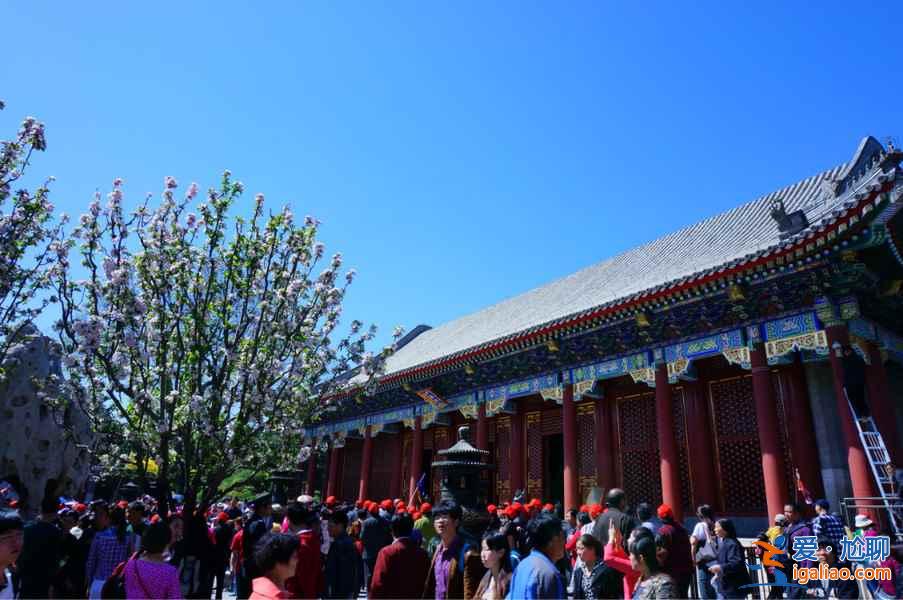 【警告】五一期間這些地方不要去,五一不能去的景點? 【警告】五一期間這些地方不要去,五一不能去的景點?