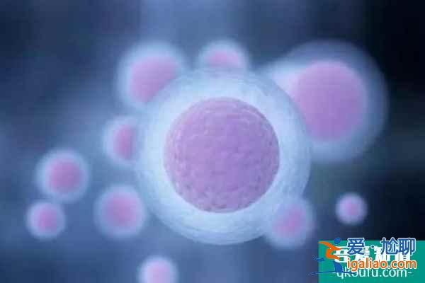 如何根據(jù)AMH數(shù)值定試管嬰兒助孕方案？？