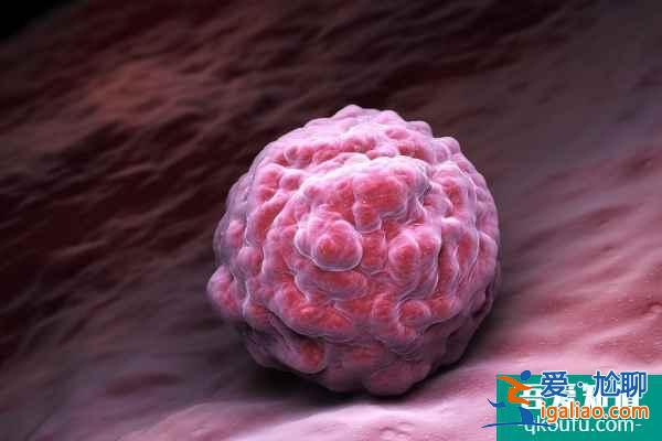 試管嬰兒兩種移植方案，輕松解決子宮內(nèi)膜異位問題？